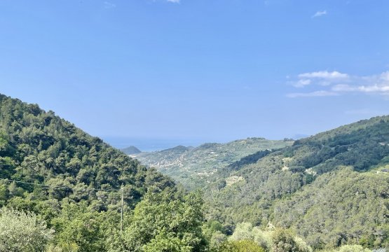 Vendita Villa Zona tranquilla Seborga Liguria