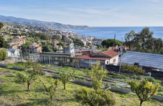 Vendita Villa Zona tranquilla Sanremo Liguria